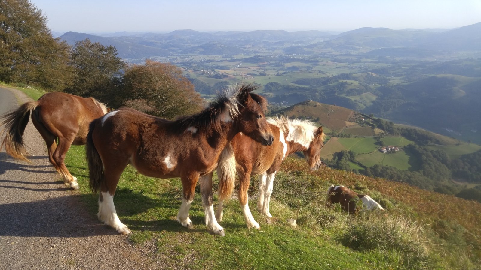 Camino De Santiago