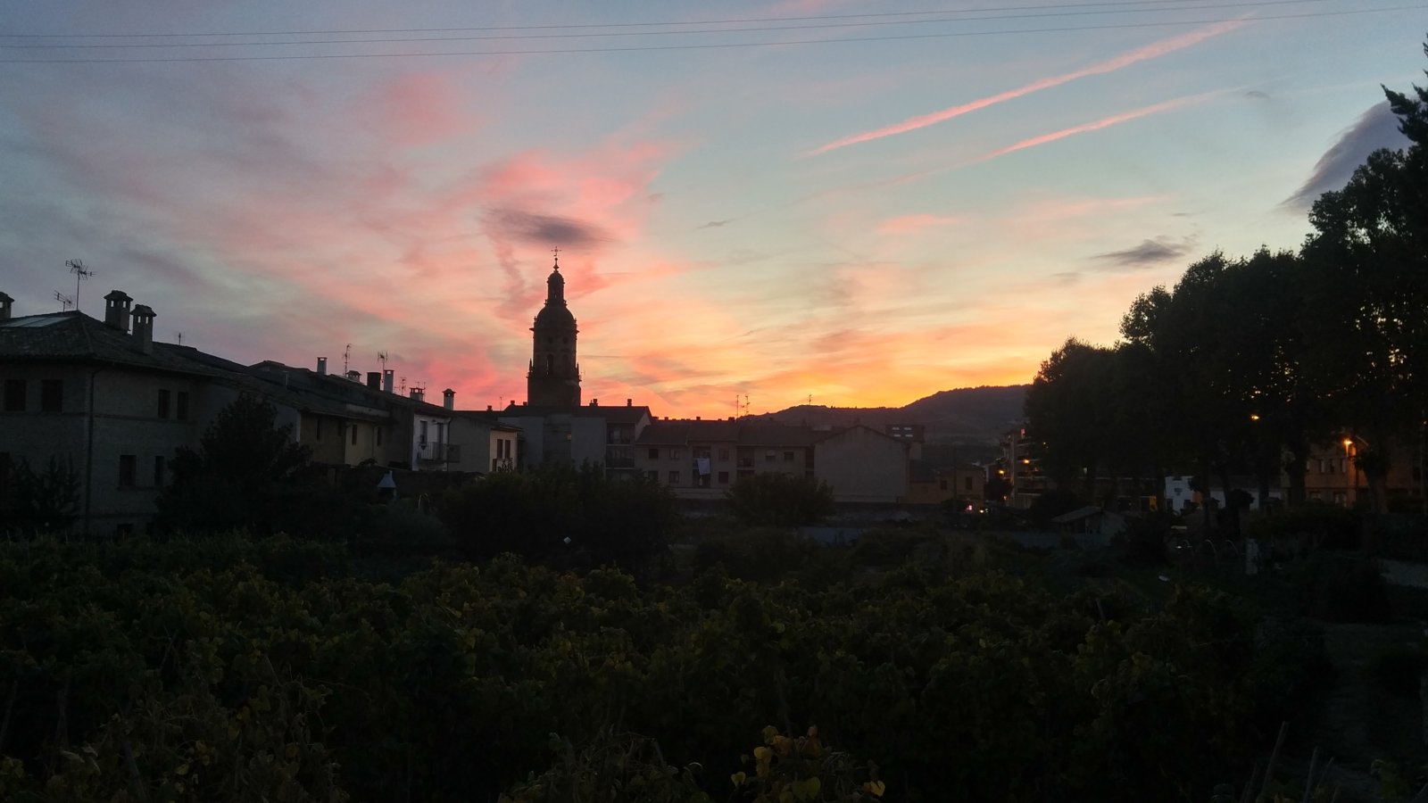 Camino De Santiago