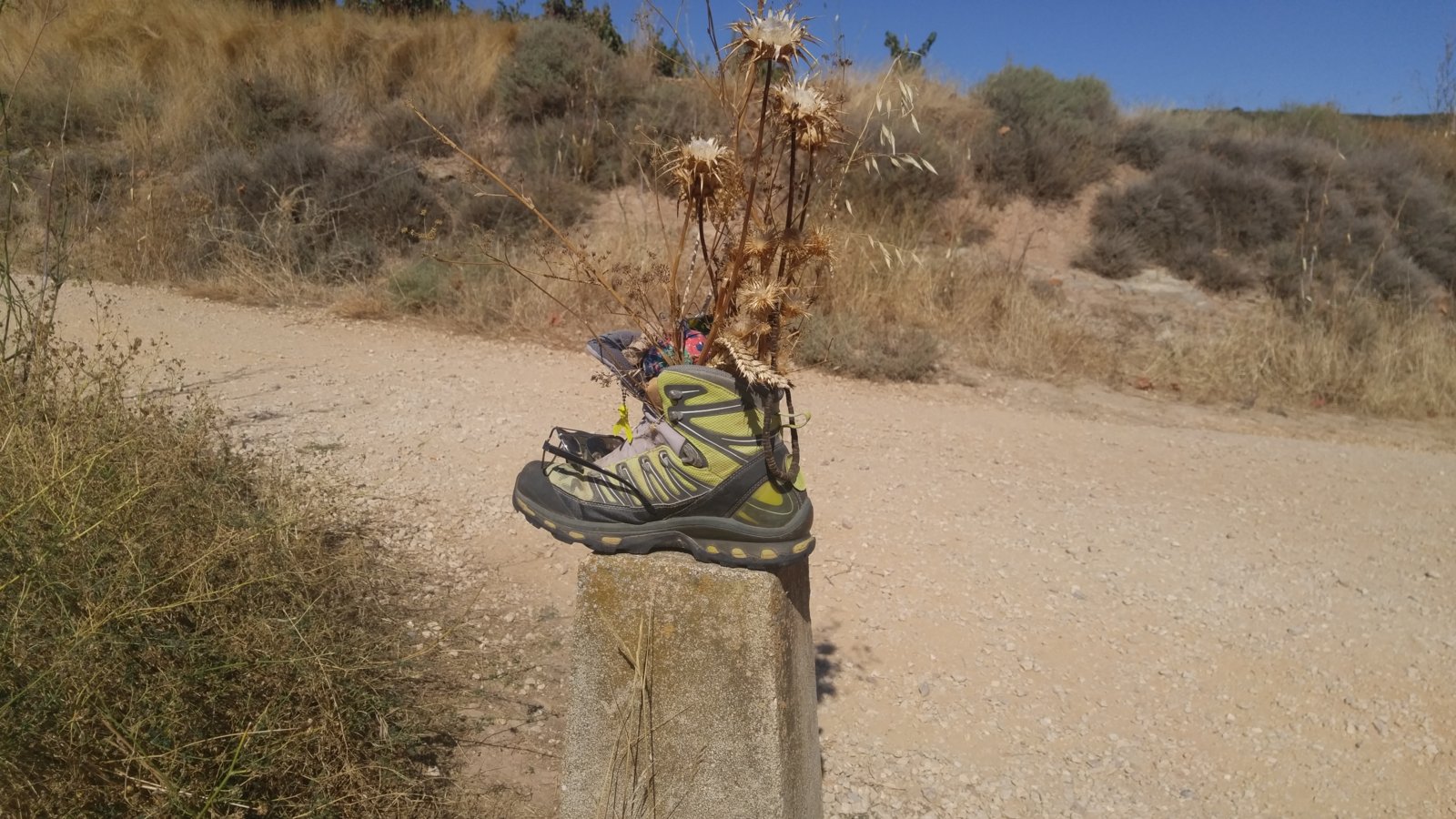 Camino De Santiago