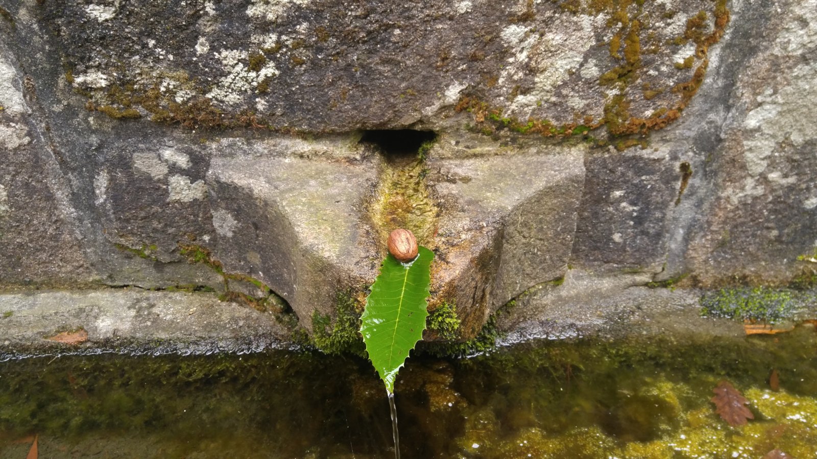 Camino De Santiago