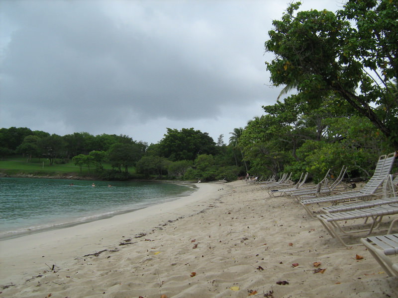 Caneel bay