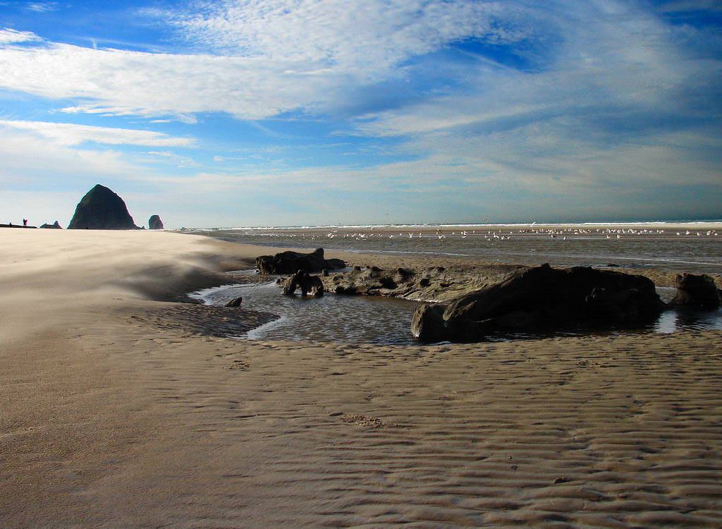 Cannon Beach