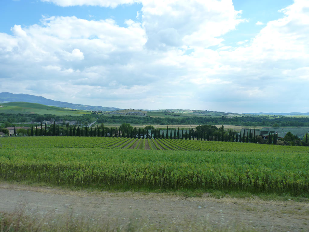 Castello Banfi