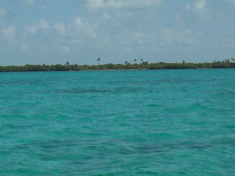 CAYE CAULKER