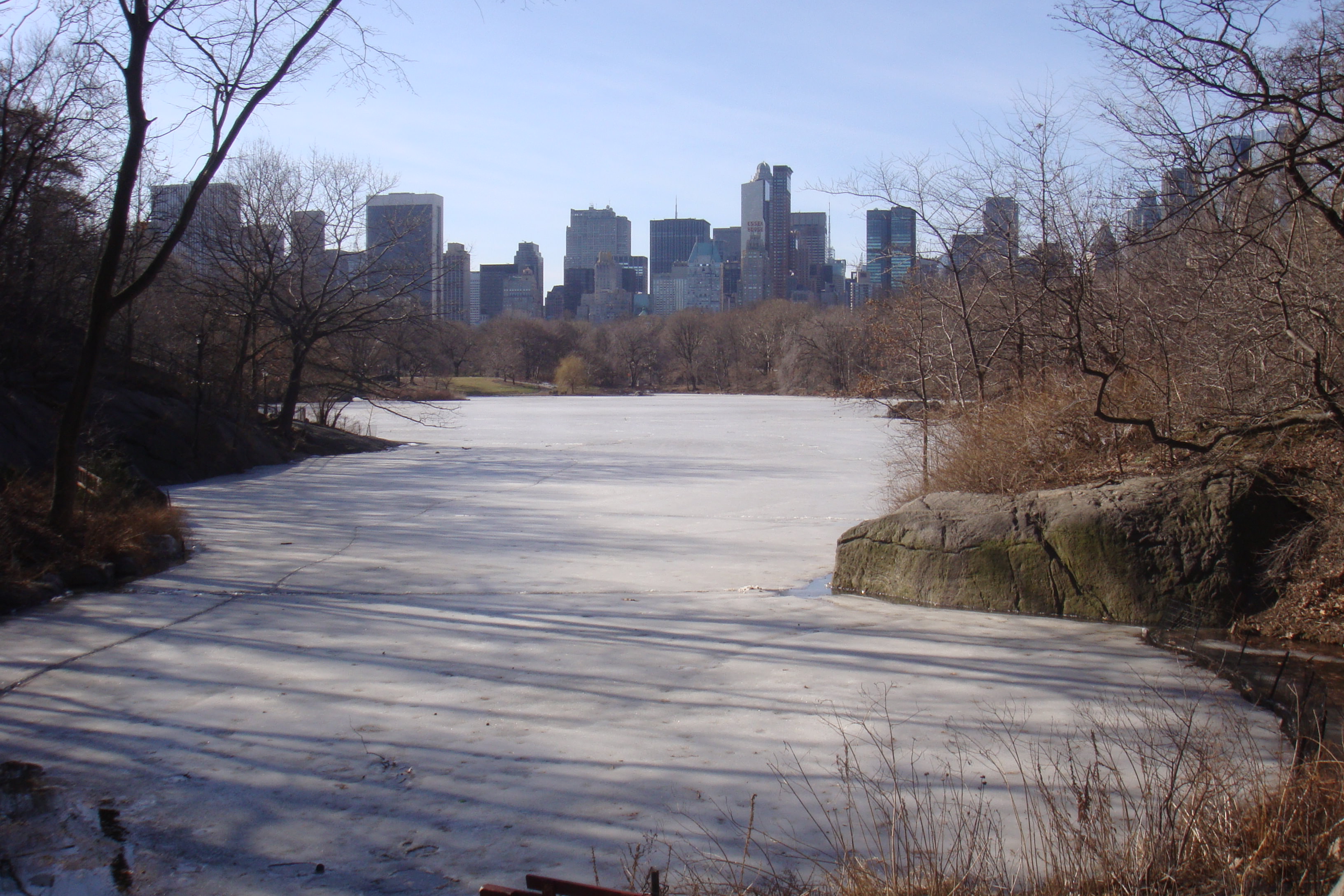 Central Park on ice