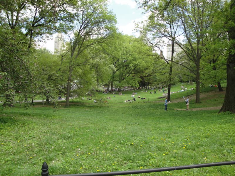 Central Park