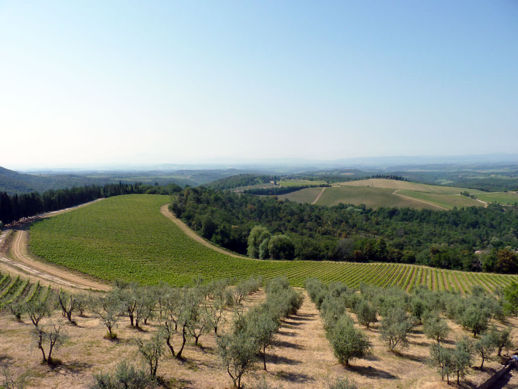 Chianti
