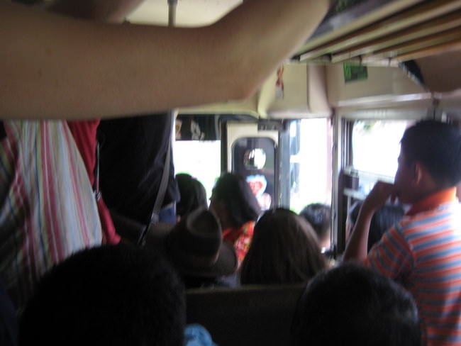 chicken bus