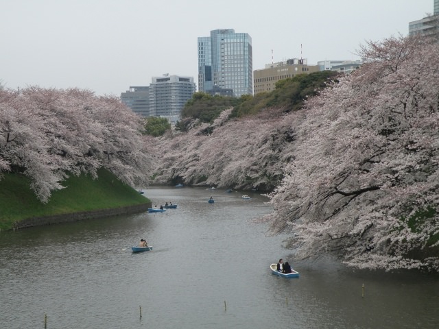 Chidori-ga-fuchi, Tokyo