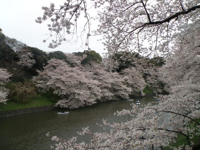 Chidori-ga-fuchi, Tokyo