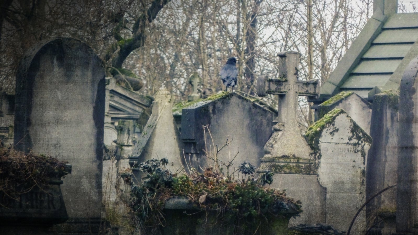 Cimetière du Père-Lachaise / Père Lahaise Cemetery