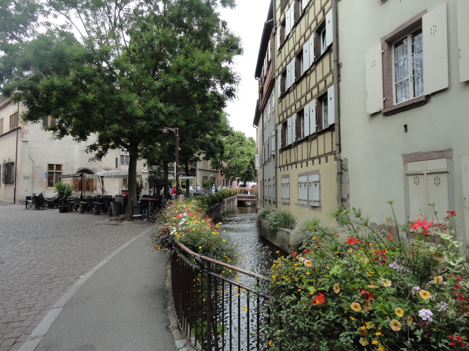 Colmar