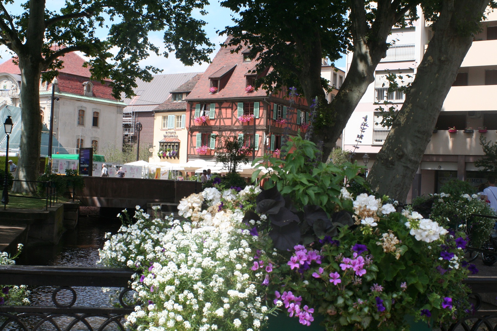Colmar