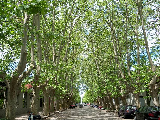 Colonia del Sacramento