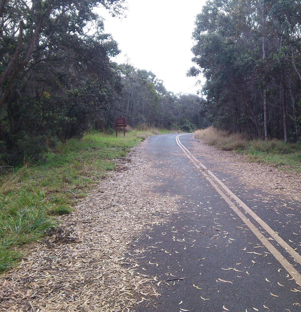 Crater Rim Road 1