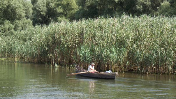 Delta del Danubio