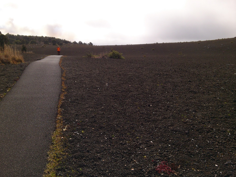 Devastation Trail 1