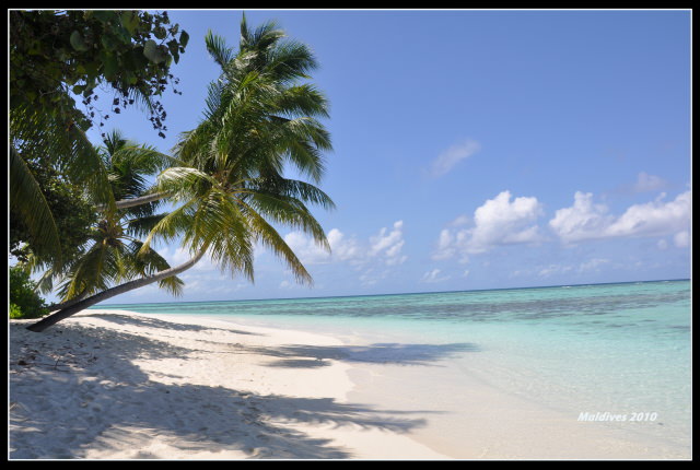 Dhaalu Atoll-Angsana Velavaru Resort&Spa