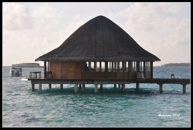 Dhaalu Atoll-Angsana Velavaru Resort&Spa