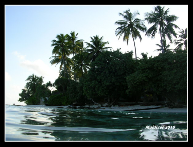 Dhaalu Atoll-Angsana Velavaru Resort&Spa