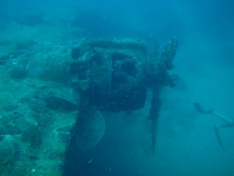 Diving_in_Solomon_Islands