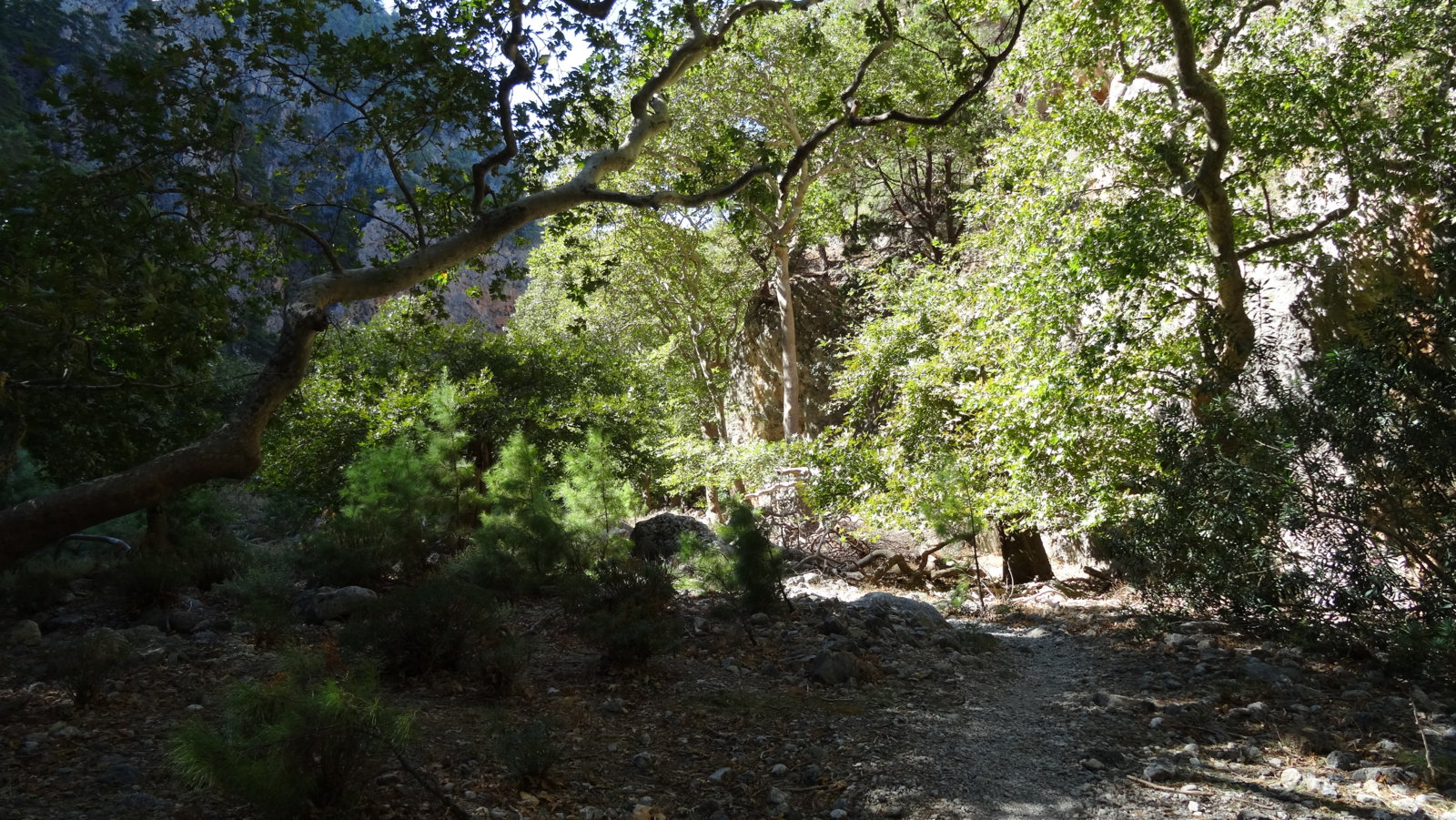 DSC00171