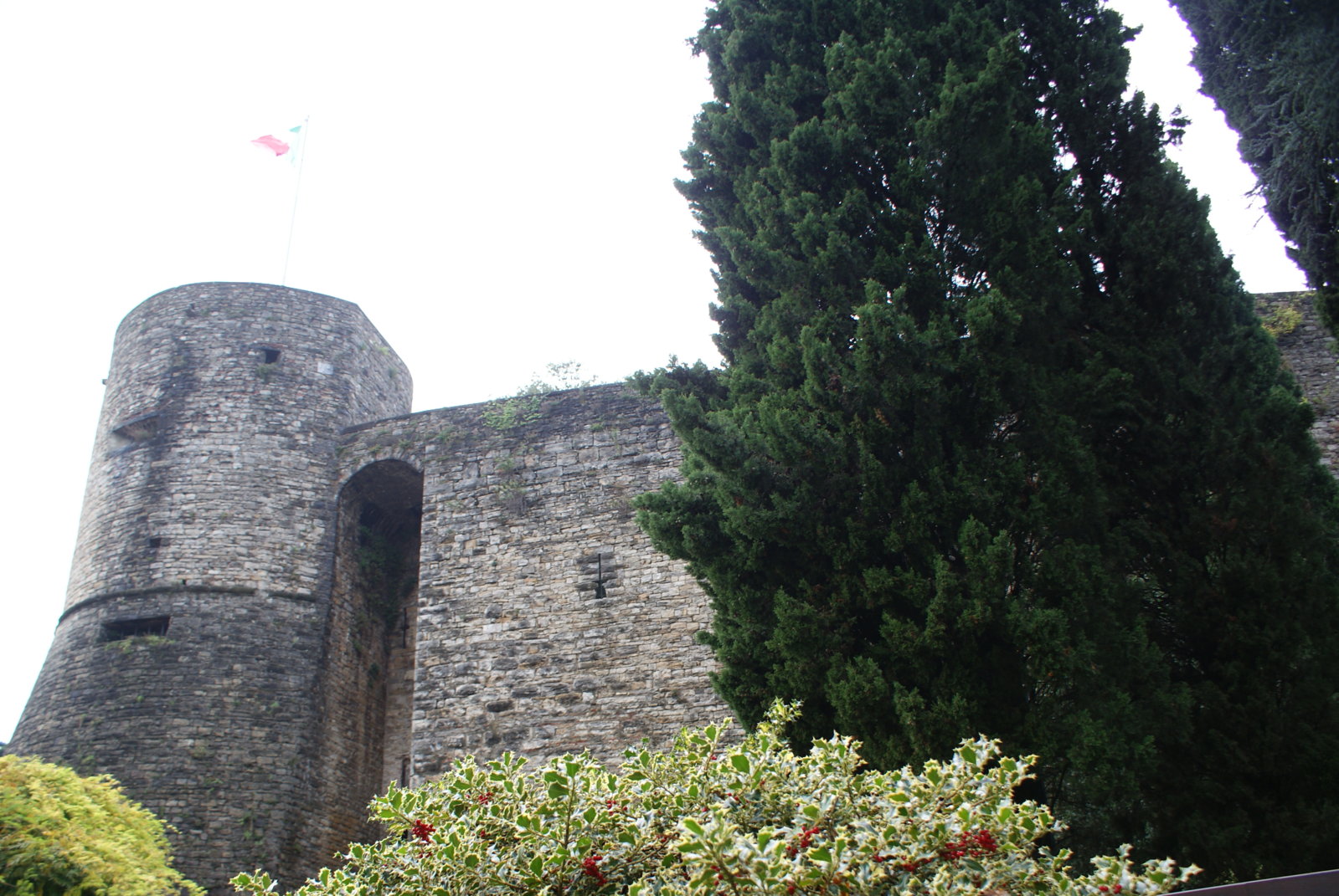 DSC01546a