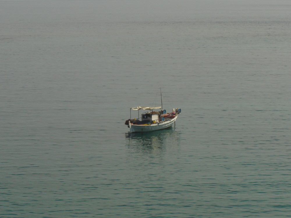 DSC03474
