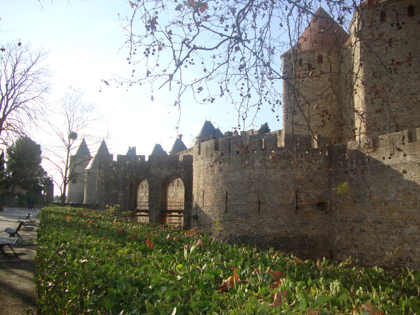 DSC03840
