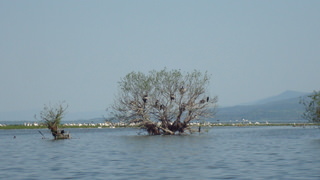 DSC08522