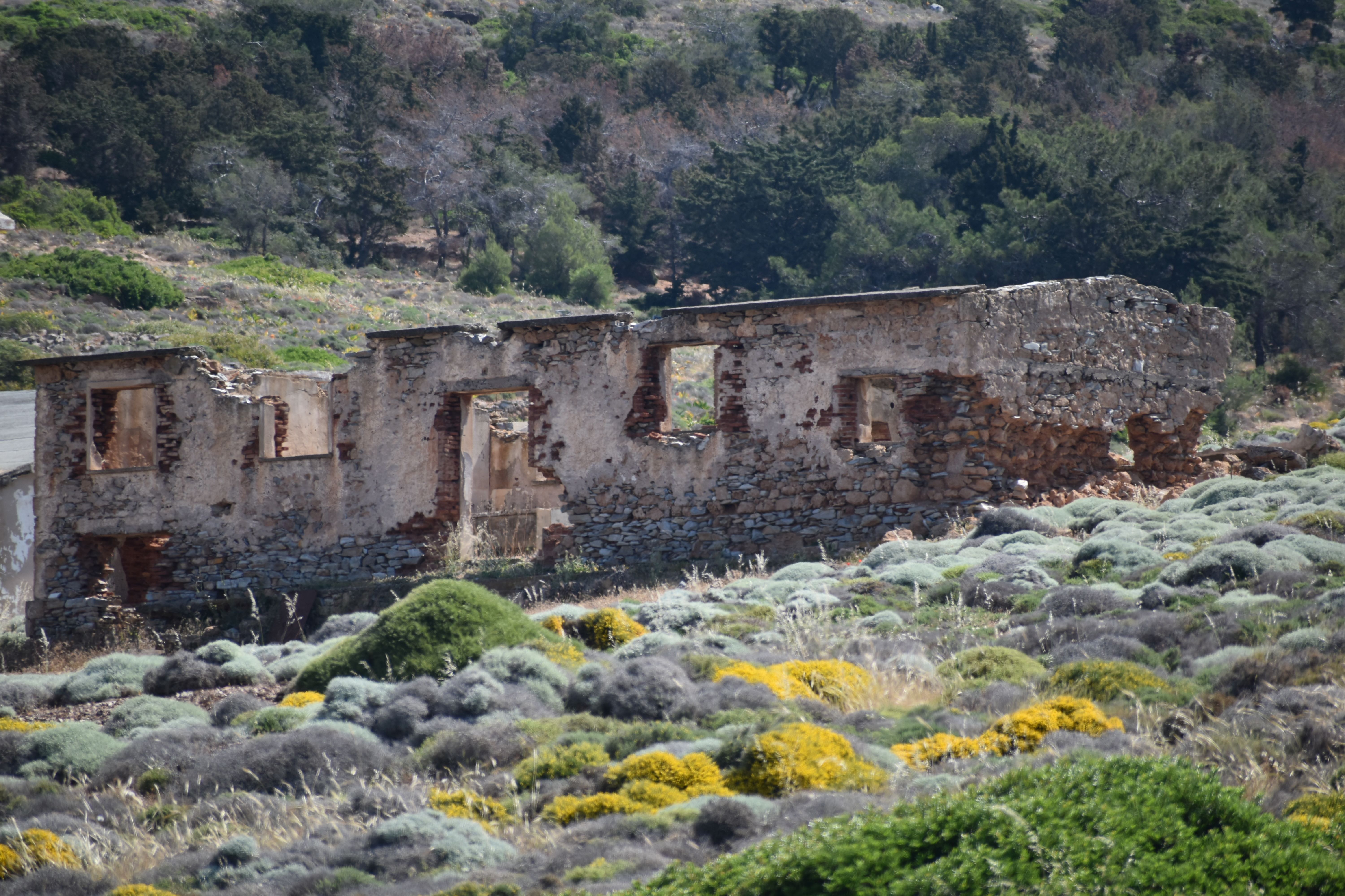 DSC_0183 resize.JPG