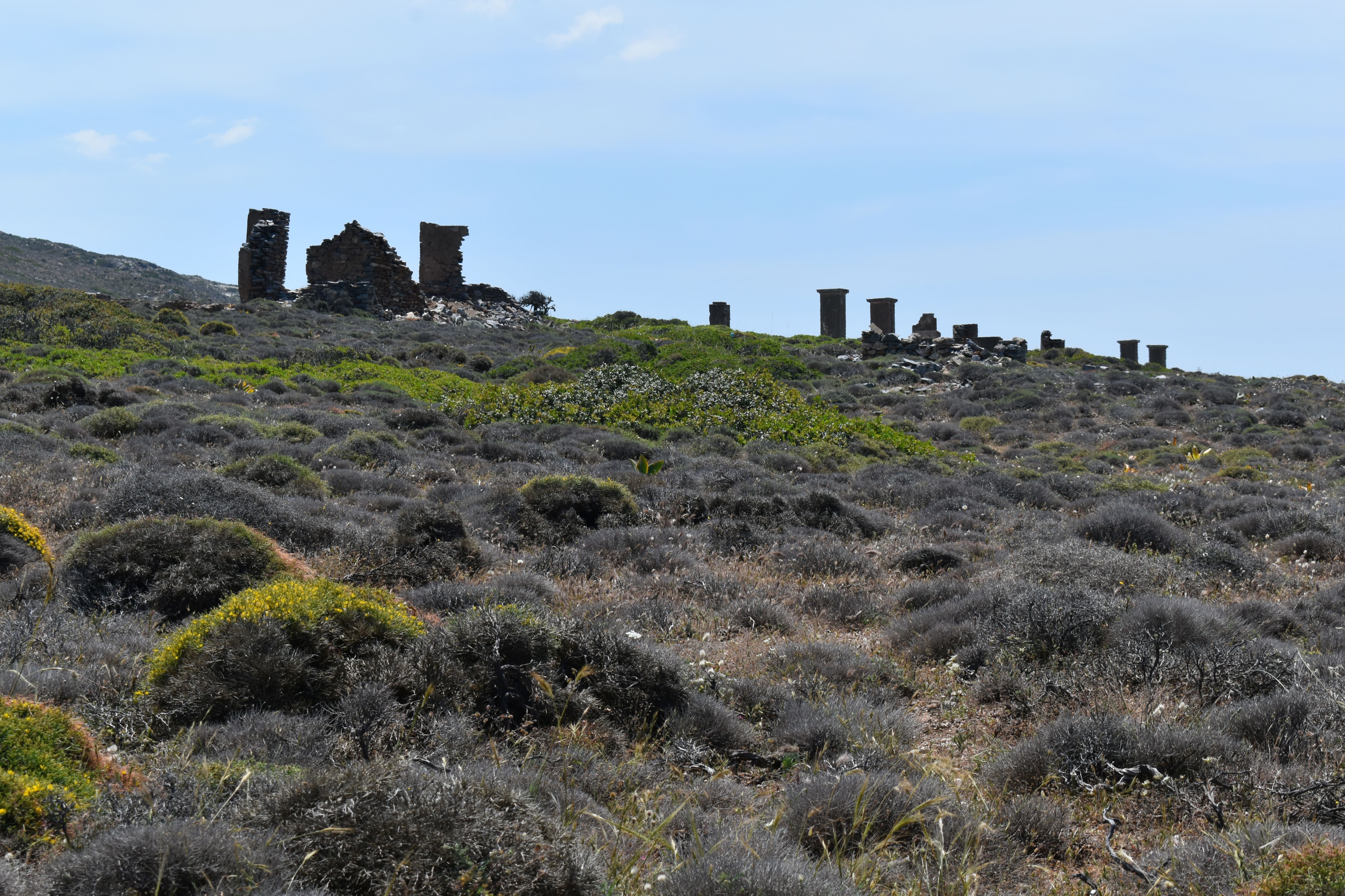 DSC_0238 resize.JPG