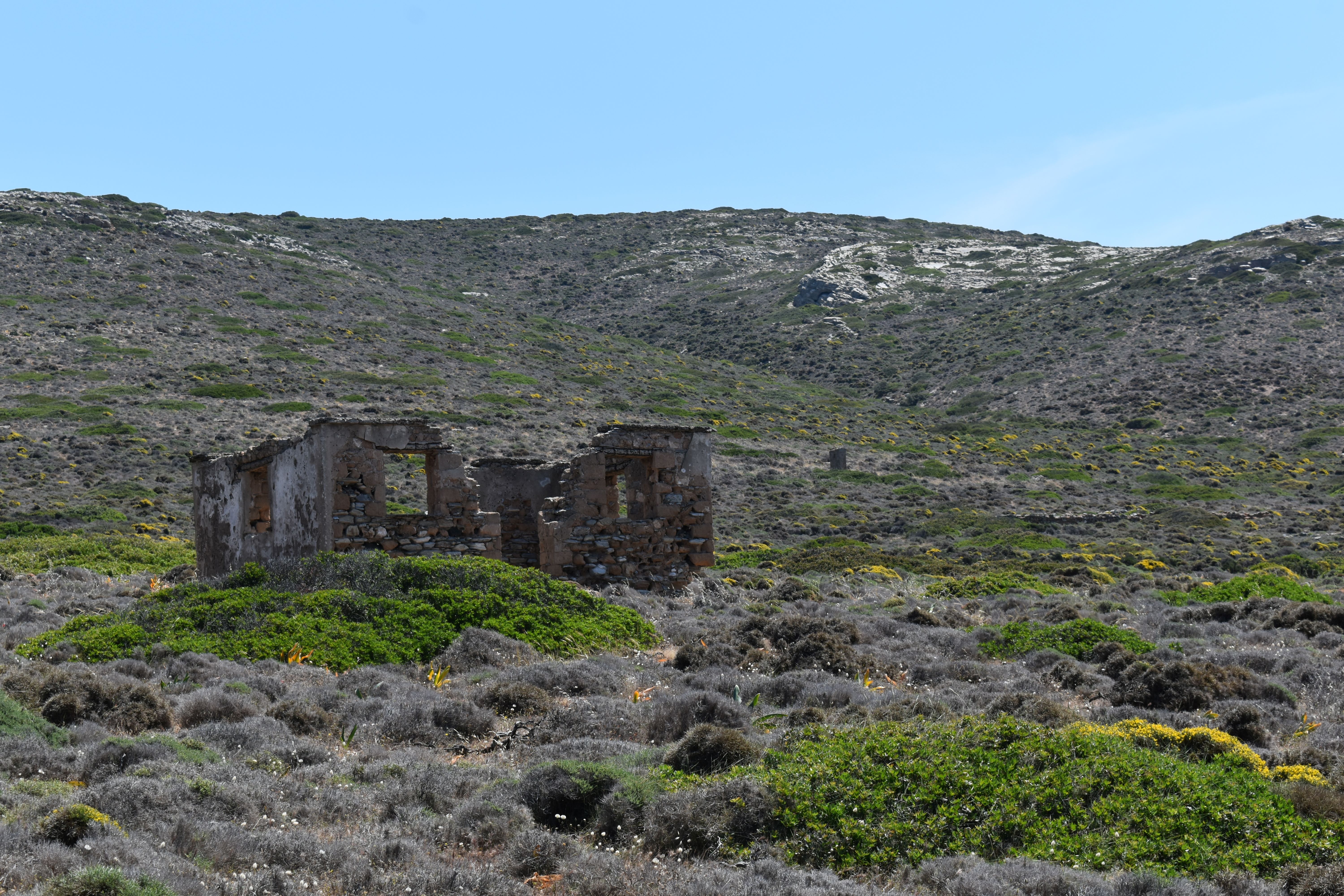 DSC_0240 resize.JPG