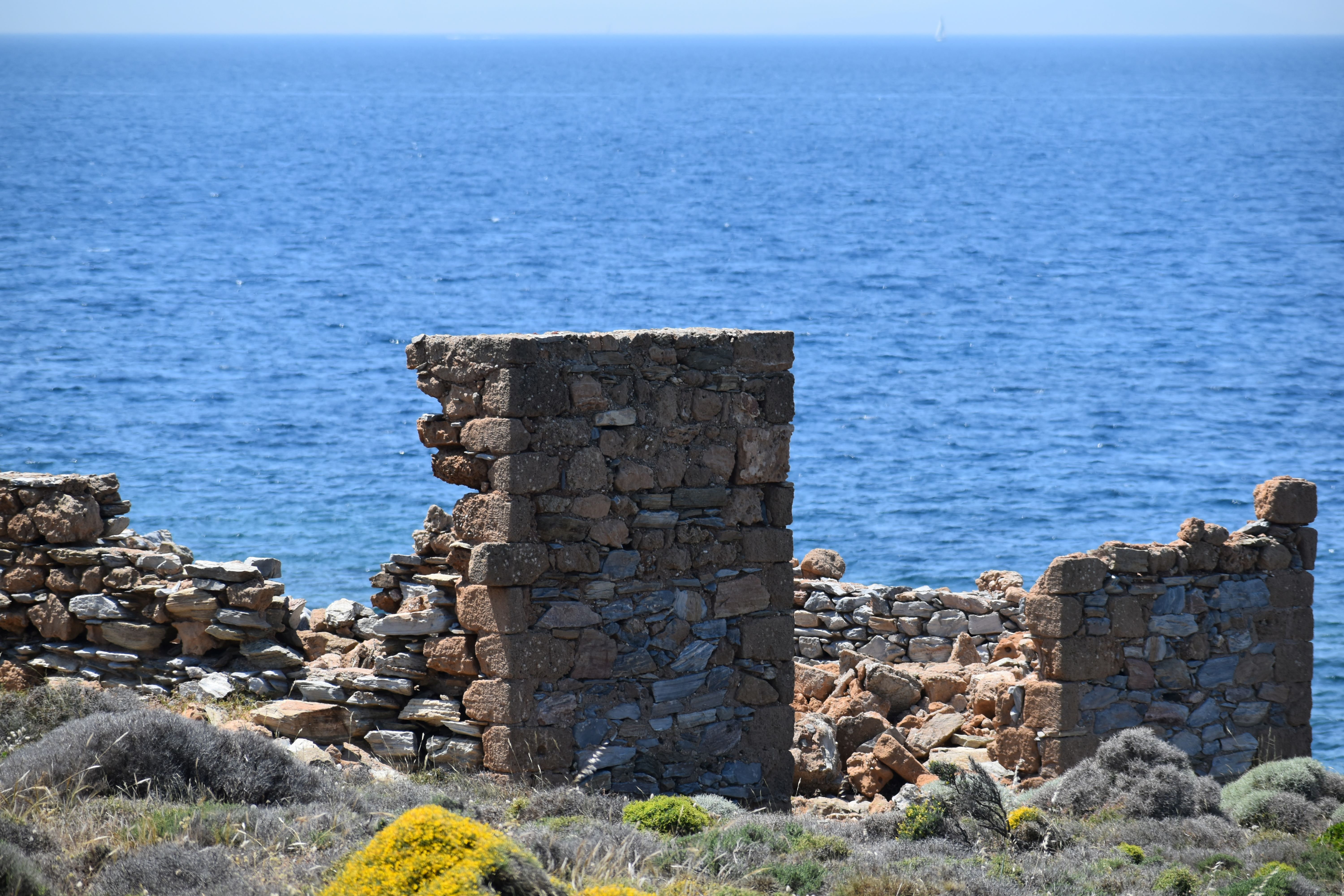 DSC_0246 resize.JPG