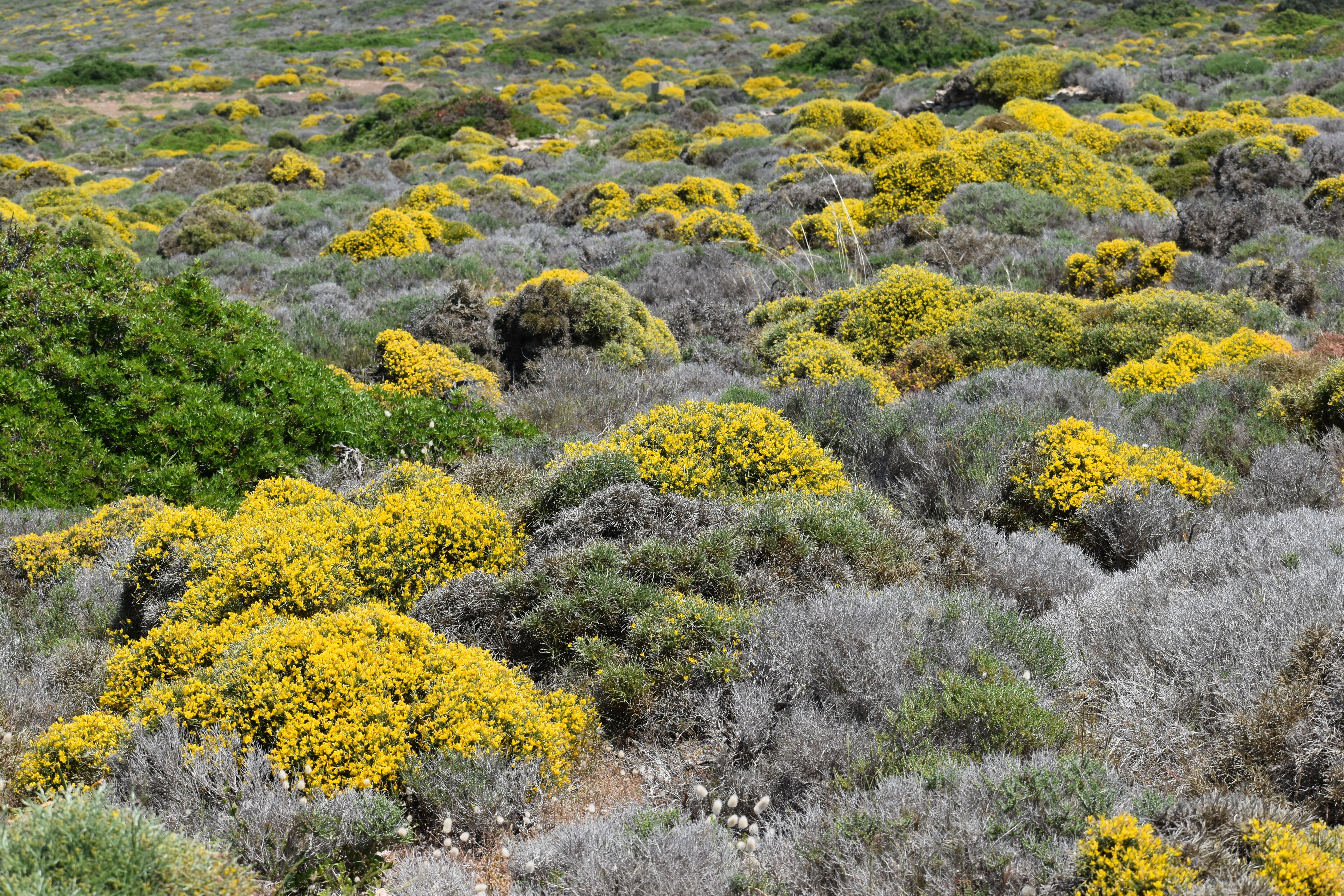 DSC_0251 resize.JPG