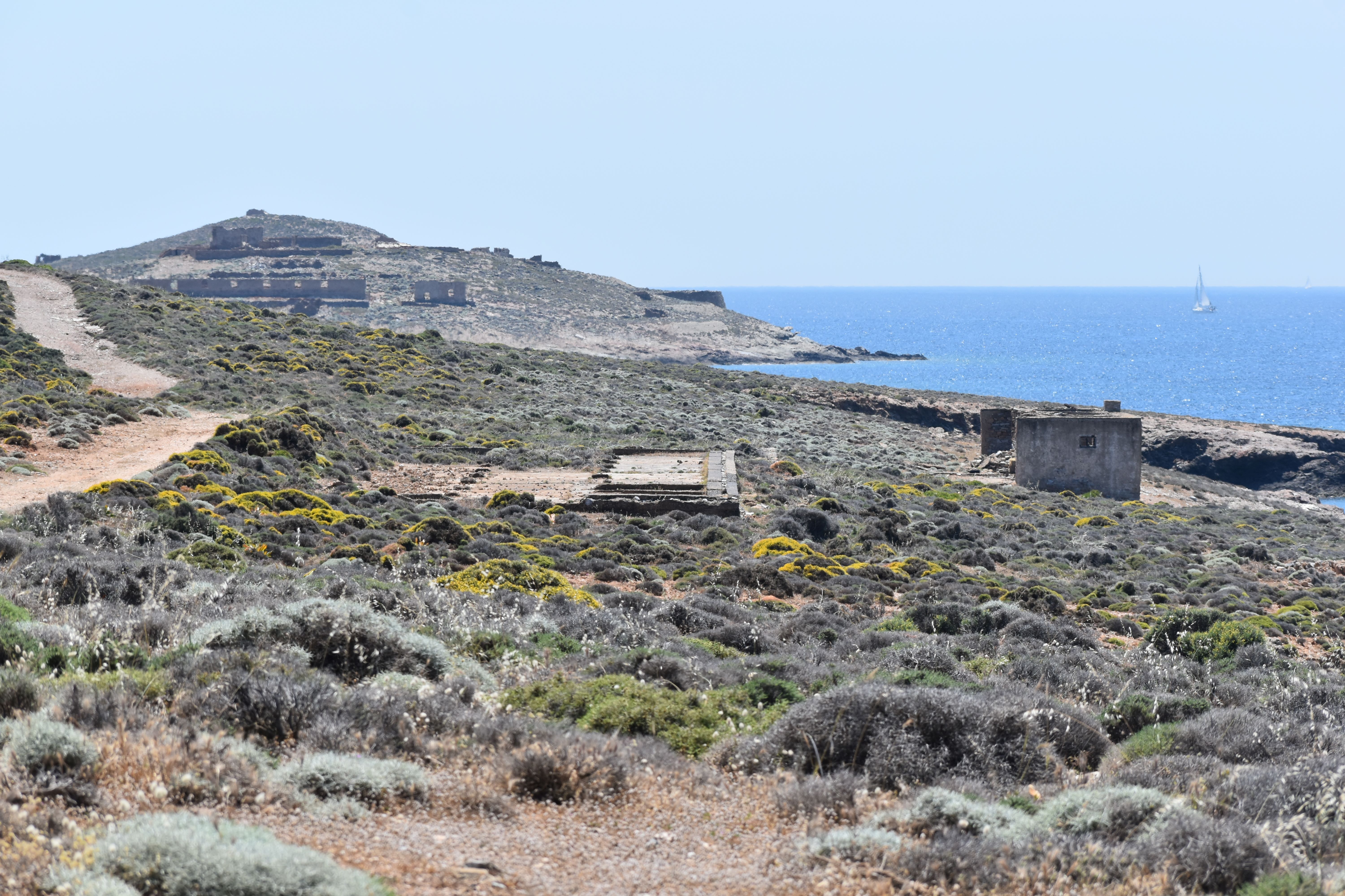 DSC_0262 resize.JPG
