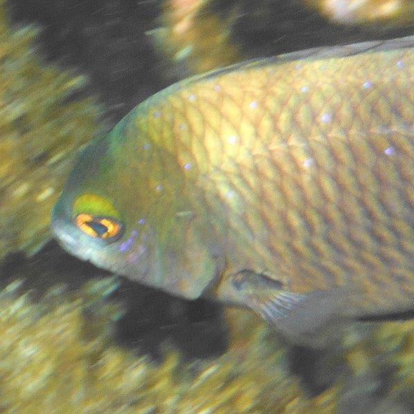 DSCF1207a