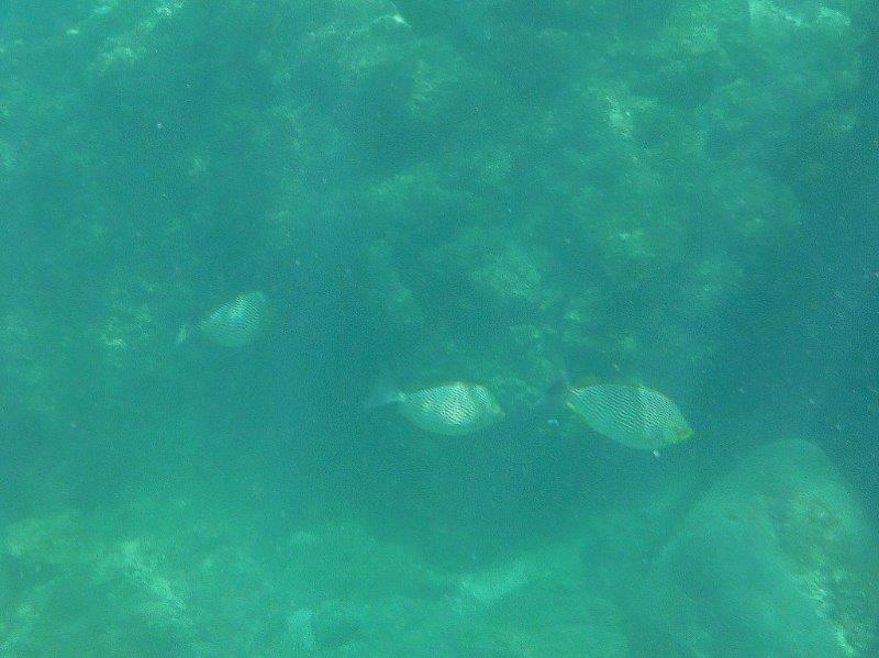 DSCF1281a