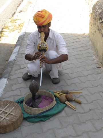DSCN0996
