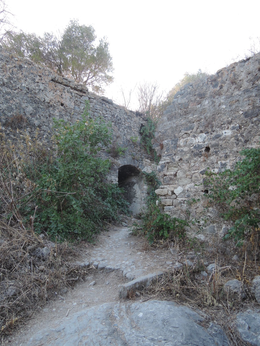 DSCN4692