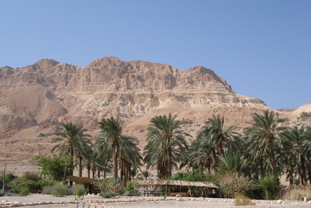 Ein Gedi