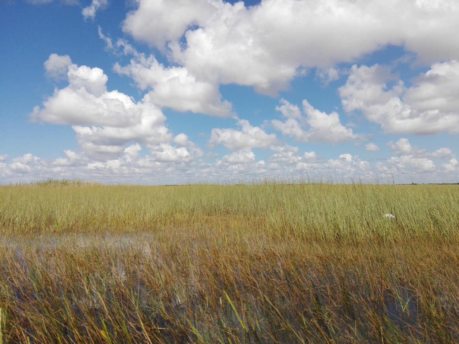 Everglades, Florida