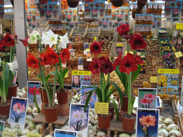 flower market