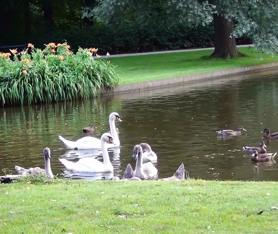 Frederiksberg