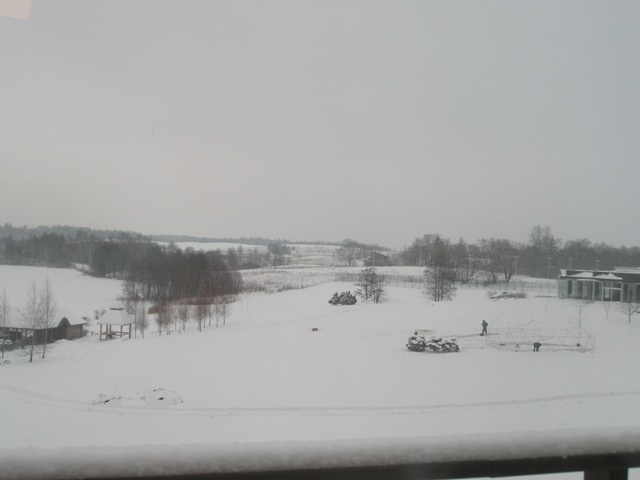 Frozen lake in Vilnius