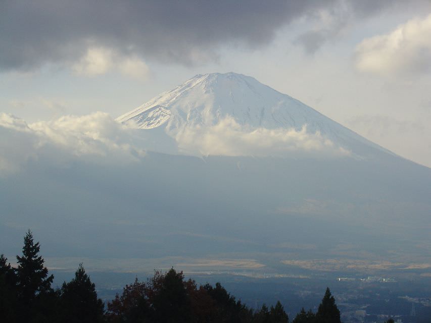 Fuji: one and only