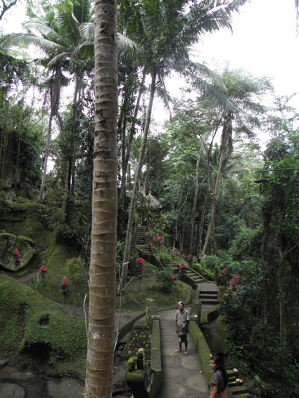 Goa Gajah (the Elephant Cave)