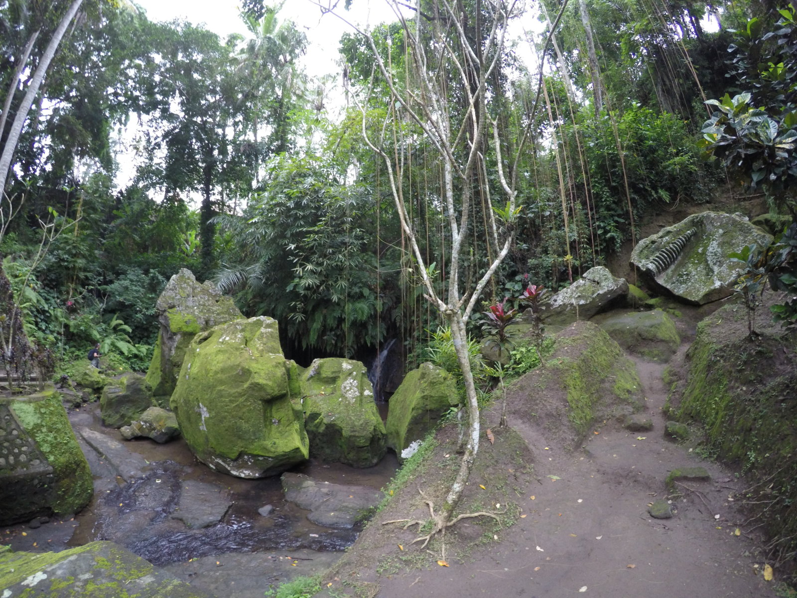 GOPR0171