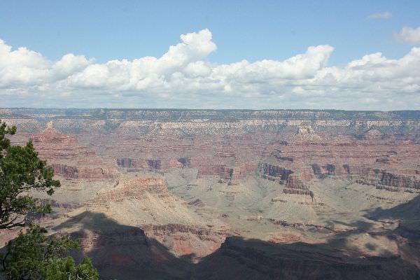 Grand canyon