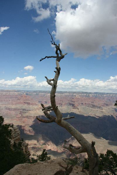 Grand canyon